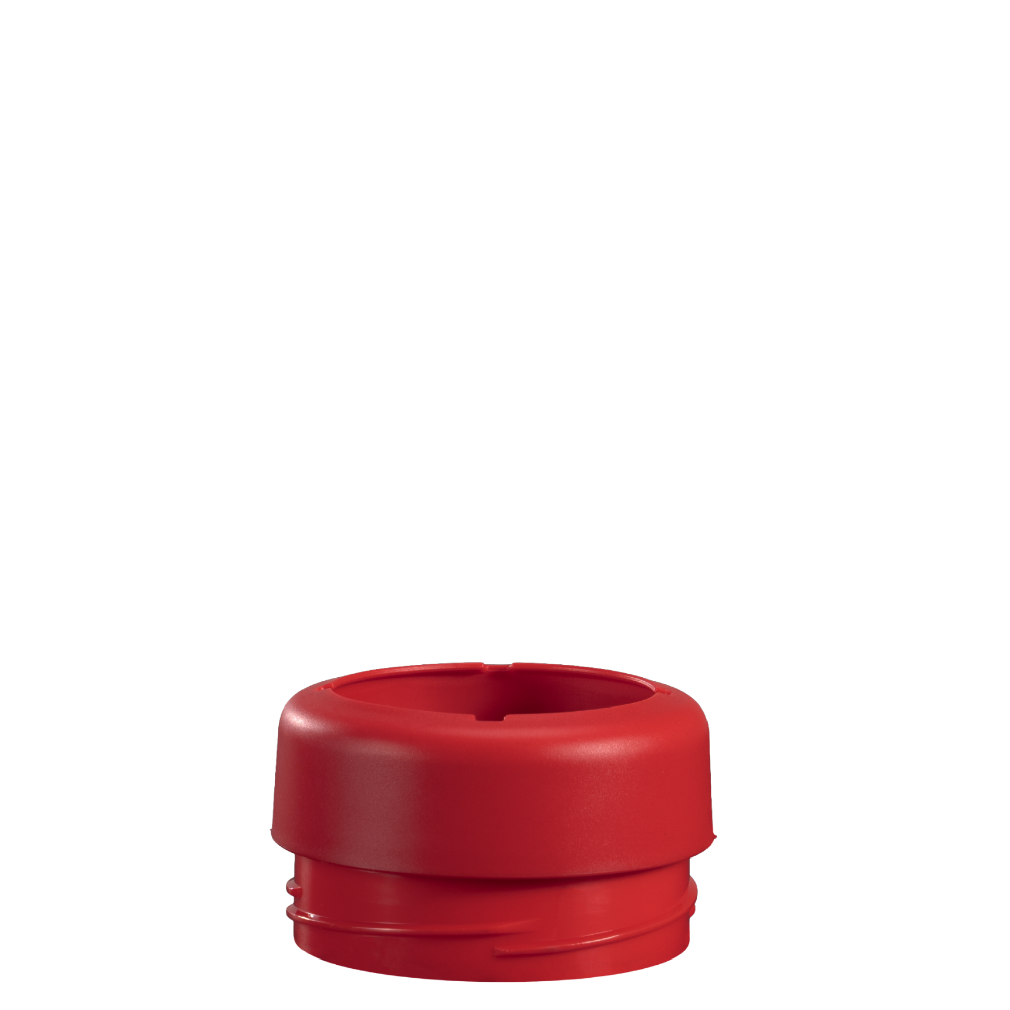 Holly - Can Cooler (Standard) 1ezv0 e12sj